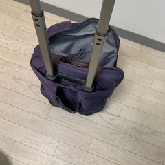 キャリーバッグの画像