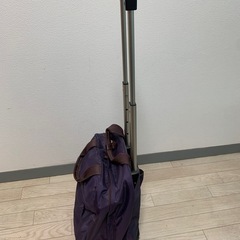 キャリーバッグの画像