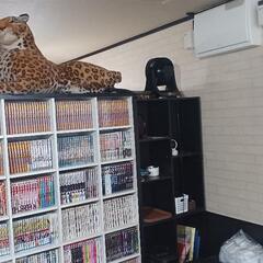 春日野道商店街内カフェ新規オープンスタッフ募集の画像