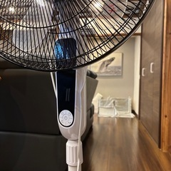 【極美品】扇風機　大きめ　の画像