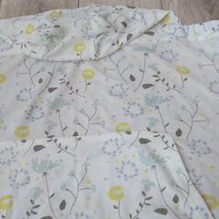 薄手のケープの画像