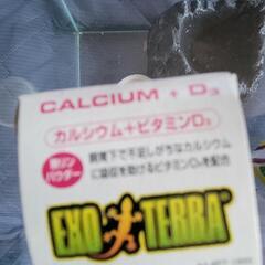 爬虫類飼育セットの画像
