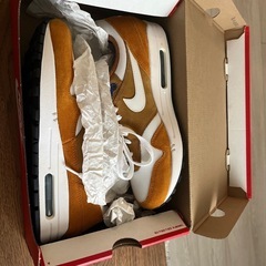 Nike Air Max 1 Premium retro × Atmos Dark Curry 26の画像