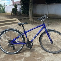 24型 子供用自転車 シュライン SCHLEIN(外装7段変速)の画像