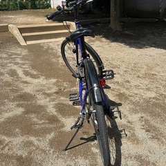 24型 子供用自転車 シュライン SCHLEIN(外装7段変速)の画像