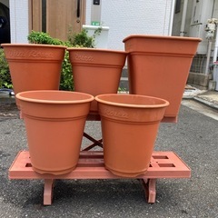 植木鉢（プラスチック製）　植木鉢棚（プラスチック製）の画像