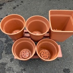 植木鉢（プラスチック製）　植木鉢棚（プラスチック製）の画像