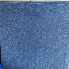 青カーペットの画像