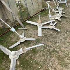 工場用　天井扇　１つの画像