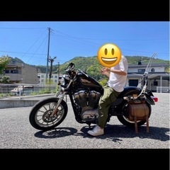 ハーレーダビッドソン　XL883の画像