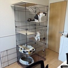 猫用ケージ3段❗️の画像