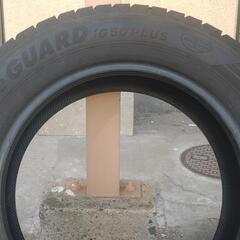 YOKOᕼᗩᗰᗩ  ice  GUARD    8分山の画像