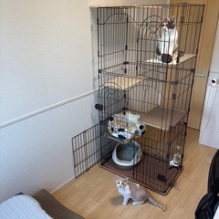 猫用ケージ3段❗️の画像