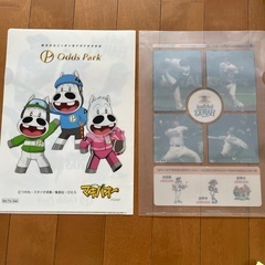 中古品　ソフトバンクホークス　クリアファイル2枚の画像