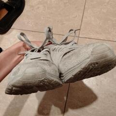 23.5スニーカーの画像