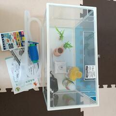 水槽セット（幅40×高28×奥行20cm）の画像