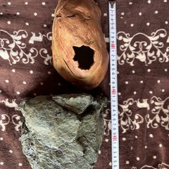 ※お話中※爬虫類、両生類のシェルター、水入れ餌入れの画像