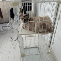猫用ケージの画像