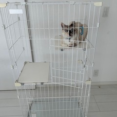 猫用ケージの画像
