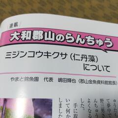 月刊「金魚仲間9月号」店頭無料配布中‼️♢名古屋改良めだか直売所♢の画像