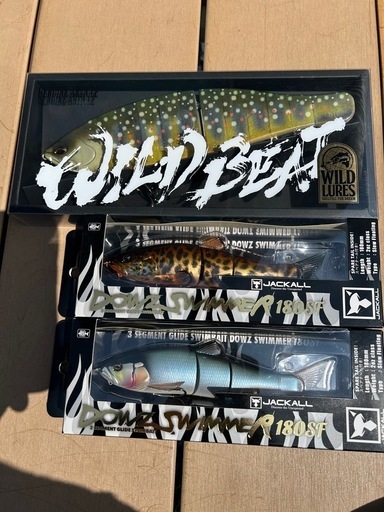 　　❗️ワイルドビートのみ❗️ご注意ください❗️