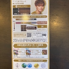 白髪染め（ルシード　デザインヘアカラー　モダンブラウン）の画像