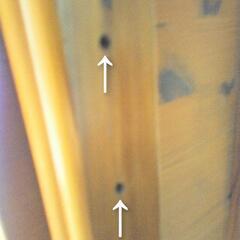 折りたたみテーブルの画像