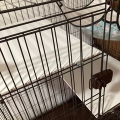 ペットケージの画像