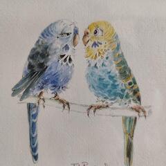 Judy Rossouw　北アイルランド　インコの画像