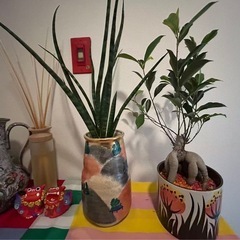 投稿②植物陶器の画像