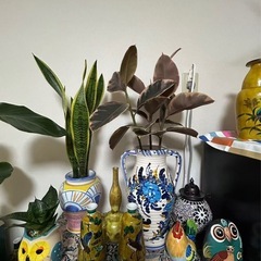 投稿②植物陶器の画像