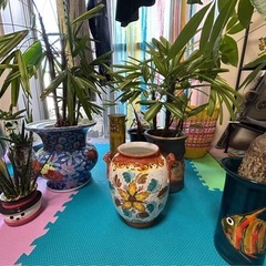 投稿③植物陶器の画像