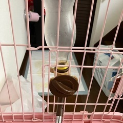 うさぎその他小動物用ゲージ
の画像