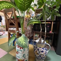 投稿④の画像