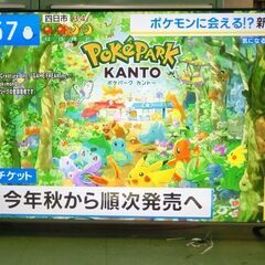 超大型６５型　４Ｋ対応　 SUNRIZEの　ＴＶ６５－４Ｋ－３－ＢＫの画像