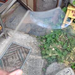プラバンの画像