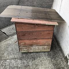 犬小屋　中型犬用の画像