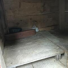 犬小屋　中型犬用の画像