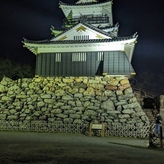 🏰浜松城公園お散歩部　仲間募集🚶‍♀️🚶