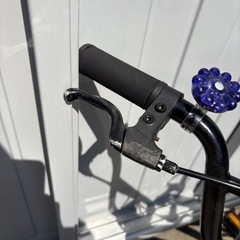 BMXモーテルワークス　14インチの画像