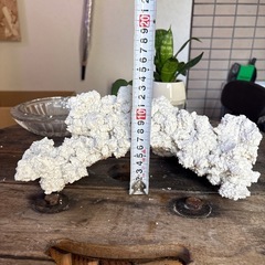 人工デスロック　おまけ付き
の画像