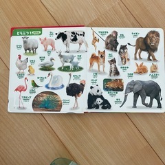はじめてのずかん555 英語つきの画像