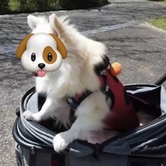 ペットカート　ミニモの画像