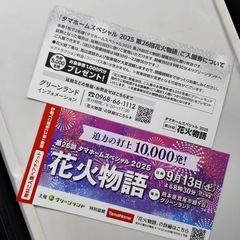 グリーンランド９月１３日入場券ペアチケットの画像