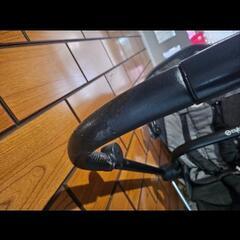 ベビーカーサイベックスプラチナム2012年の画像