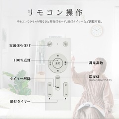 ８畳用シーリングライト の画像