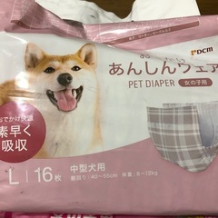犬用ペットオムツ/エチケットウェアの画像