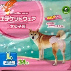 犬用ペットオムツ/エチケットウェアの画像