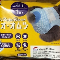 犬用ペットオムツ/エチケットウェアの画像