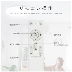 14畳用シーリングライトの画像